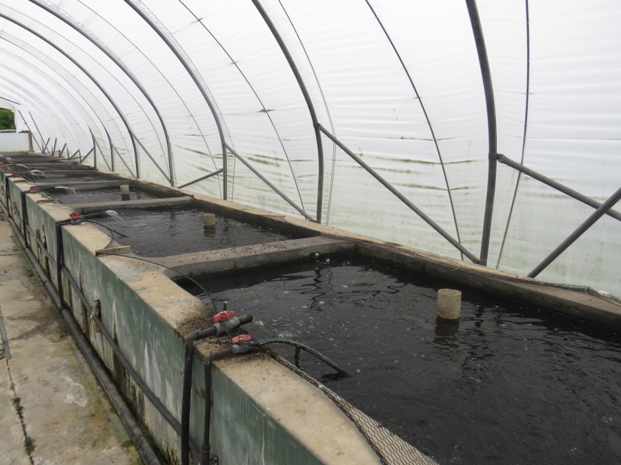 3 Bedroom Property for Sale in Bathurst Eastern Cape